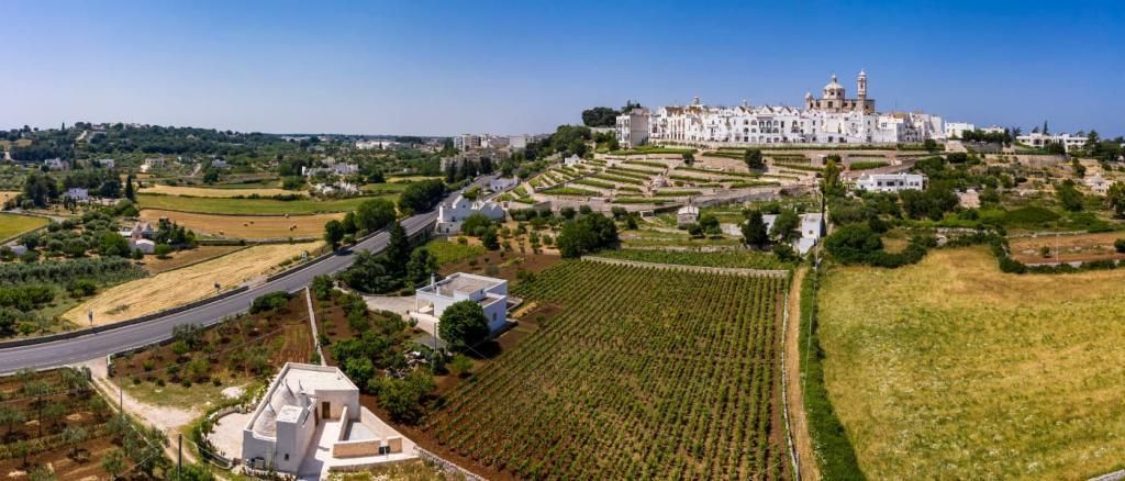 Vista sulla Valle d'Itria con i vigneti