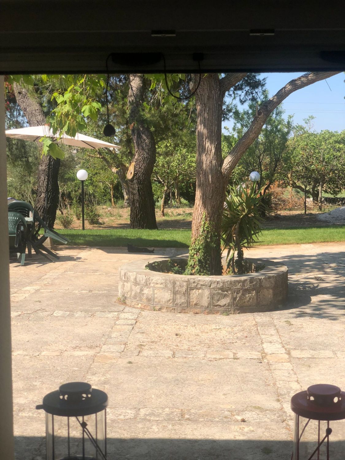 Lettini all'ombra degli alberi