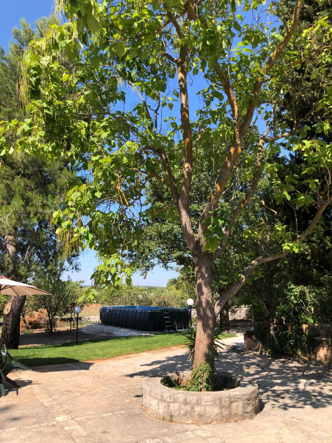 Piscina e campagna