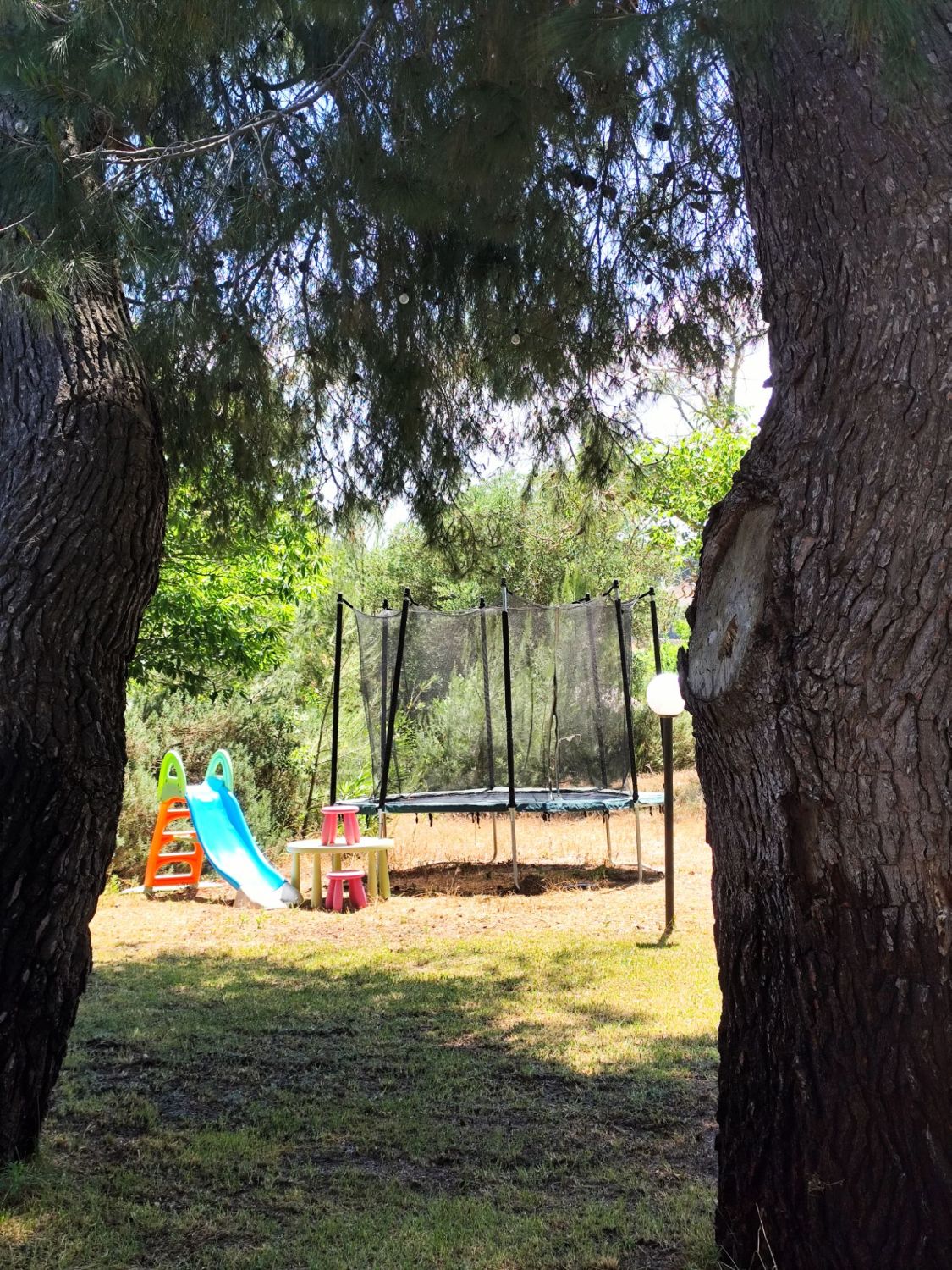 Trampolino e scivolo per bambini sotto i pini