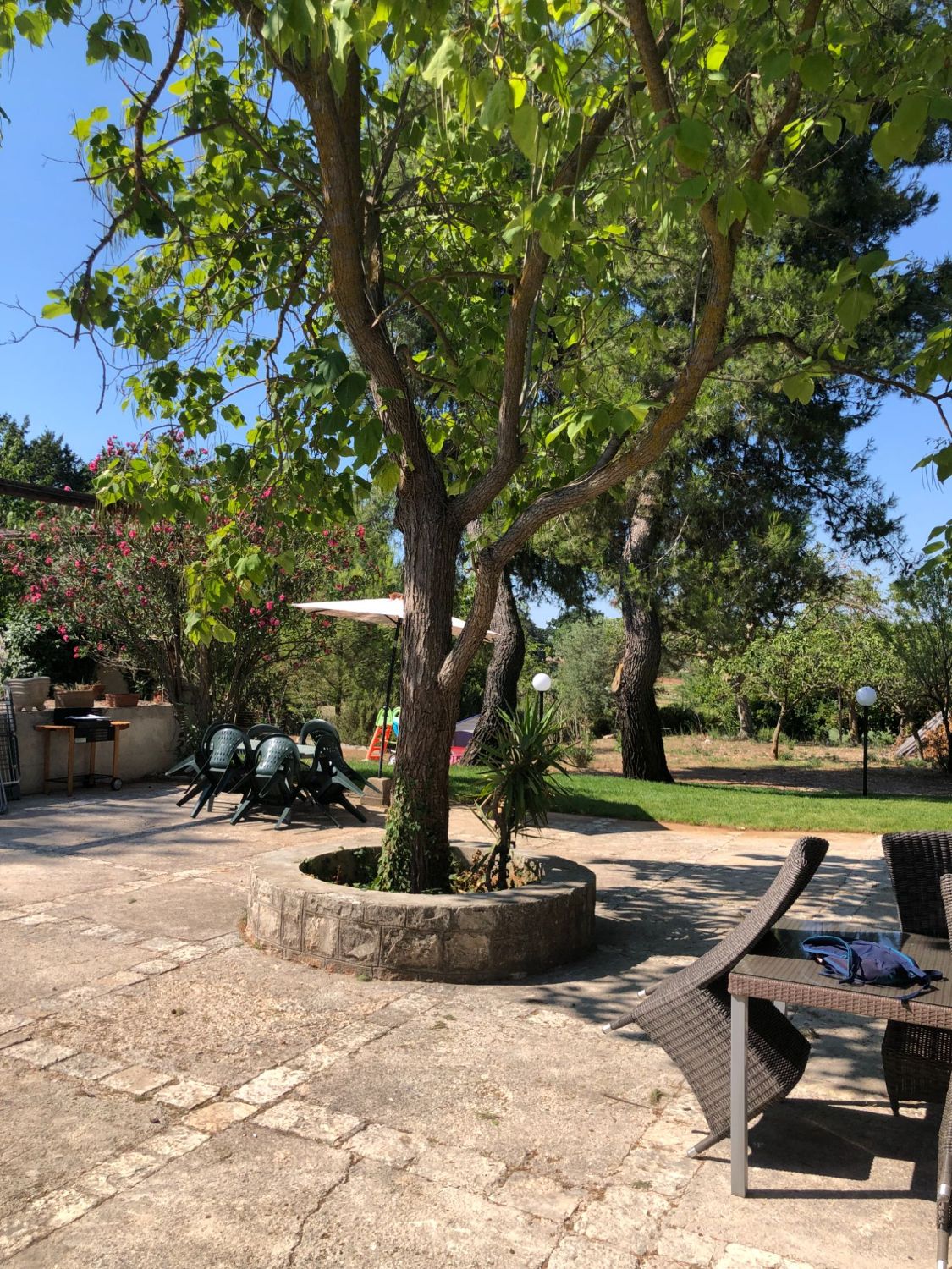 Patio all'ombra degli alberi