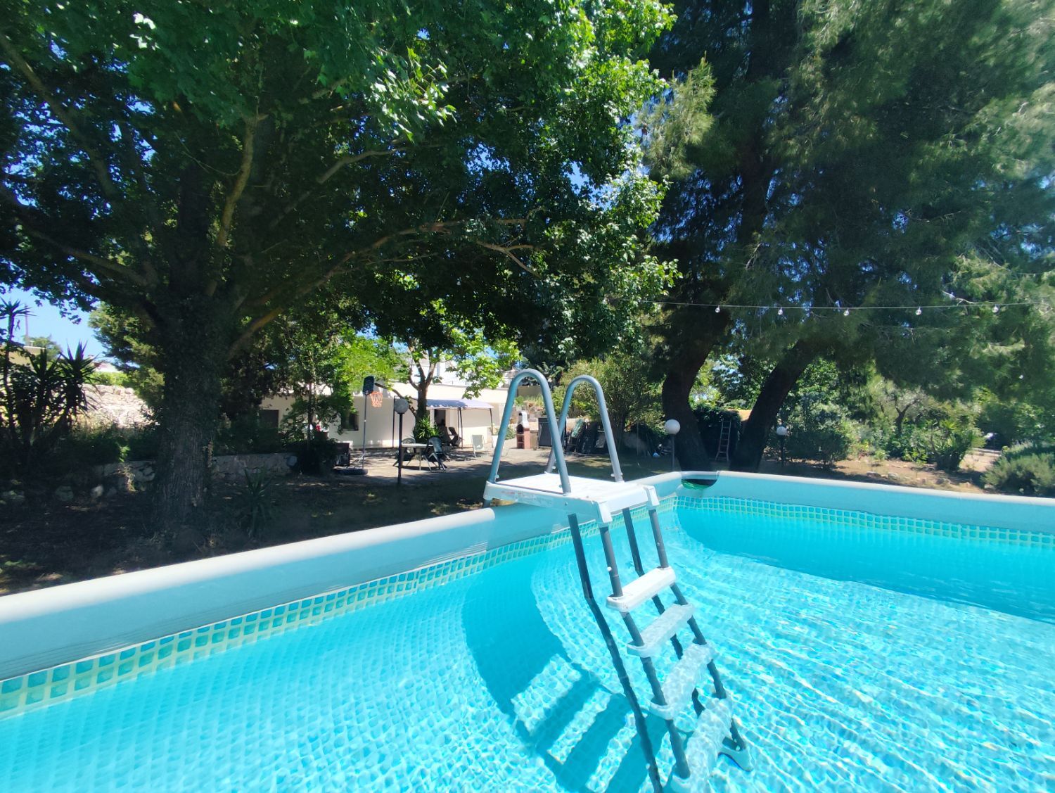 La piscina immersa nel giardino alberato